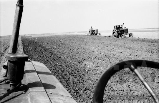 THM-BJ-02518 - Munka a mözsi termelőszövetkezetben az 1960-as években 