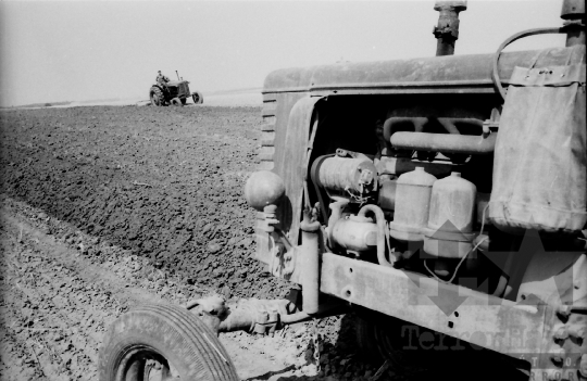 THM-BJ-02521 - Munka a mözsi termelőszövetkezetben az 1960-as években 