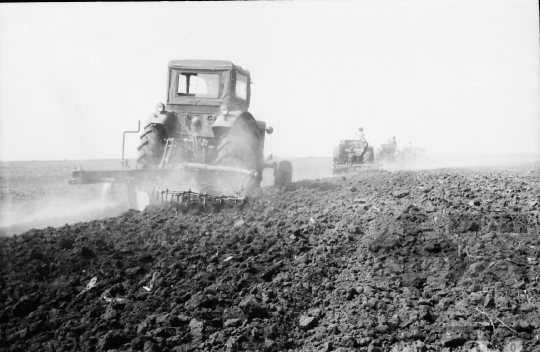 THM-BJ-02528 - Munka a mözsi termelőszövetkezetben az 1960-as években 