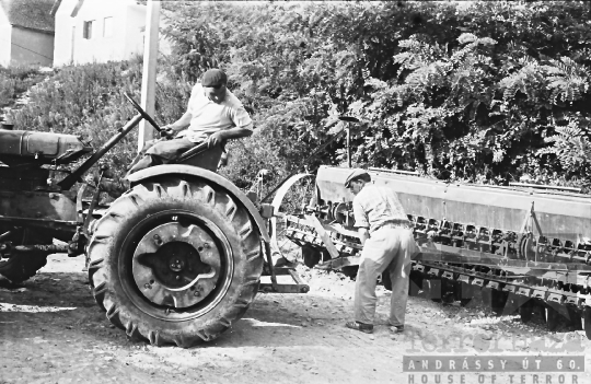 THM-BJ-07306 - Mórágyi termelőszövetkezet az 1960-as években 