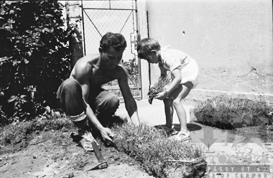 THM-BJ-10668 - Paksi állami gazdaság gerjeni kerülete az 1960-as években